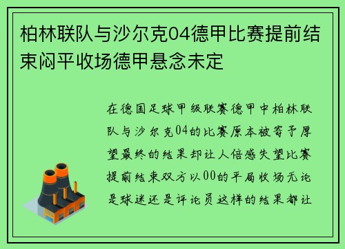 柏林联队与沙尔克04德甲比赛提前结束闷平收场德甲悬念未定